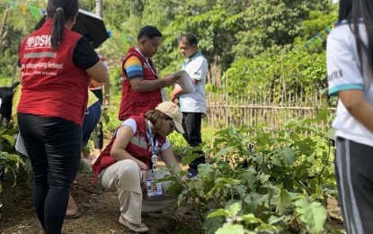 Poor families in E. Visayas get P31-M aid via DSWD food, water project