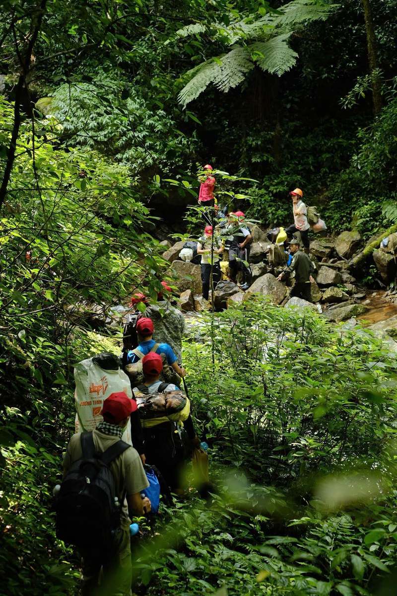 Conquering Ngoc Linh peak: The rooftop of Central Highlands and southern Vietnam
