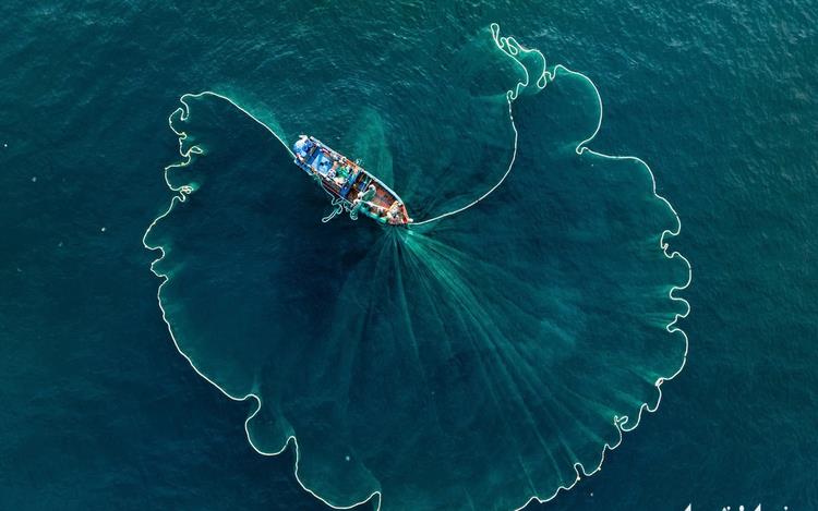 Discover the quiet allure of Nhon Ly fishing village in south-central Vietnam