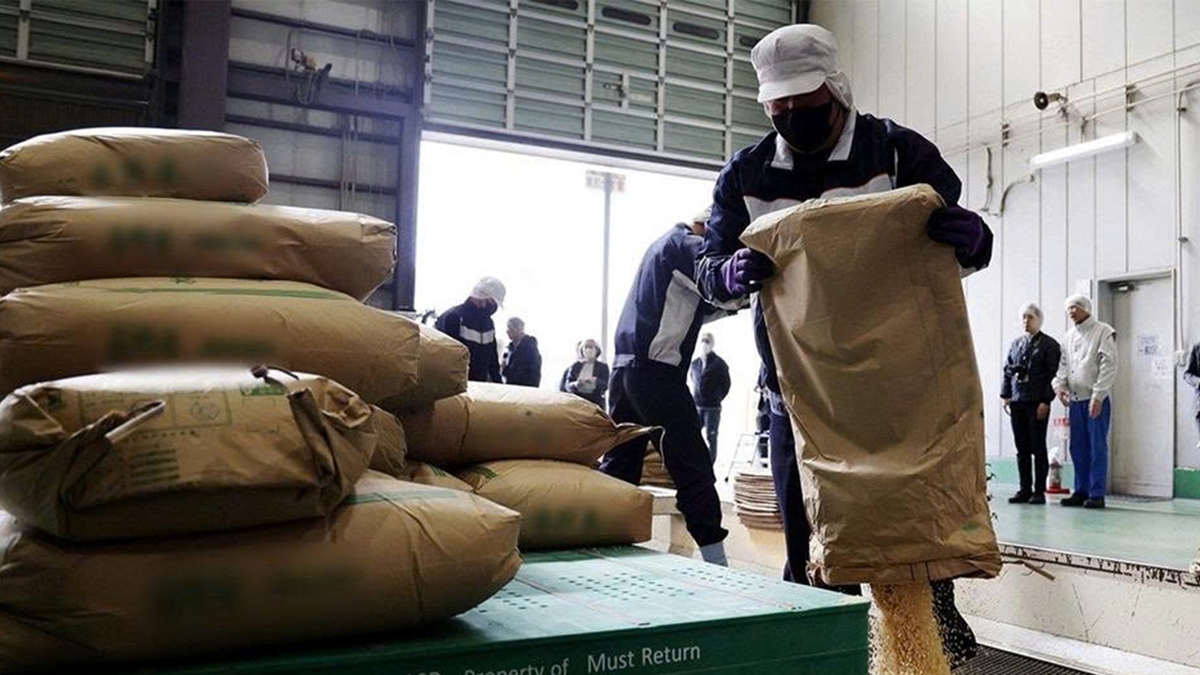 Premium Vietnamese rice expected to be potential solution to Japan's deepening rice crisis