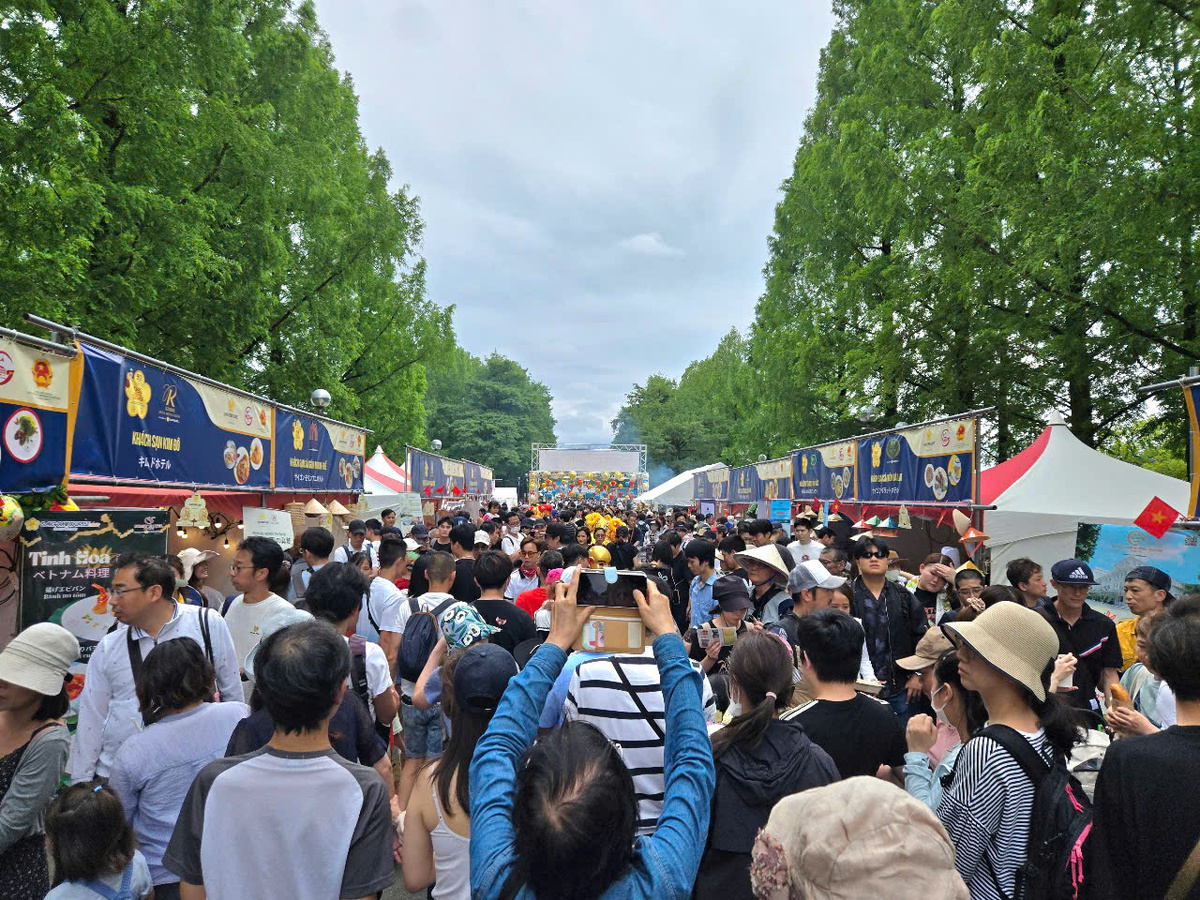 Over 100,000 visitors attend Vietnam culture, food festival in Japan