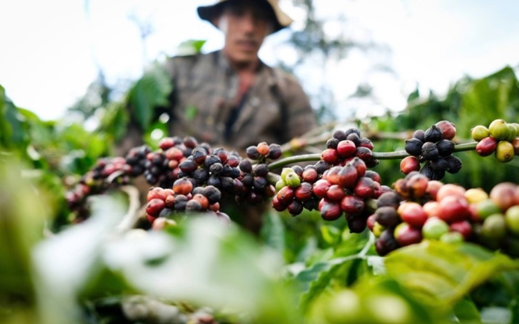 Vietnamese exporters seek opportunities amid Middle East conflict