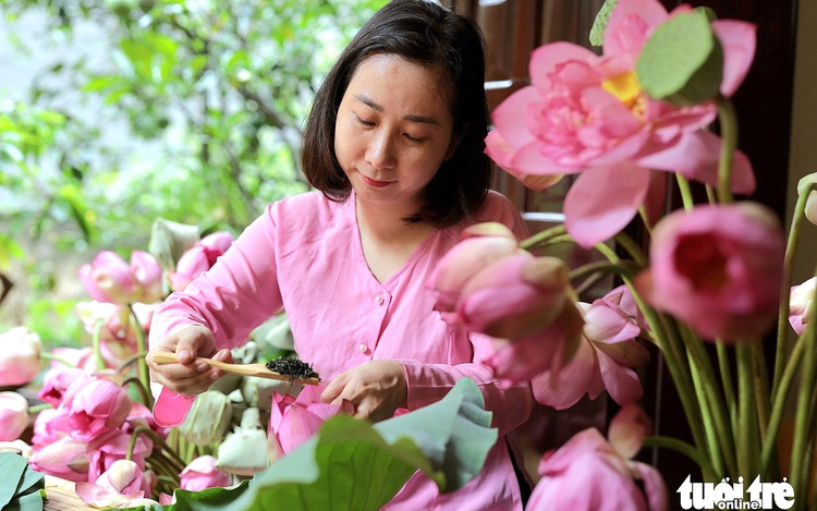 Fragrant revival: Hanoi's West Lake lotus blooms again after years of decline