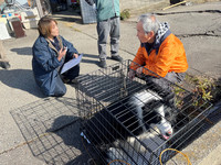 Tsuneo Yamaguchi (right), head of Nihon Dobutsu Kaigo Center, receives a dog affected by the Noto Peninsula earthquake from its owner. (Courtesy of the center)