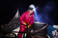 Fisherwoman Maki Kanazawa hauling up a fixed net on the sea off the city of Owase, Mie Prefecture, on Jan. 27