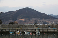 A mountain forest in Ofunato, Iwate Prefecture, on Sunday afternoon