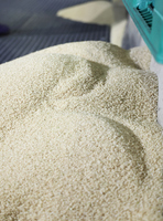 Government-stockpiled rice taken out of bags at a rice mill in Saitama Prefecture on March 18.