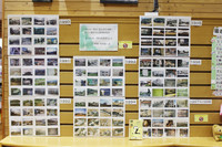 Some of the donated photos are on display at an educational center in Fujikawaguchiko, Yamanashi Prefecture.
