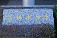 The Ministry of Agriculture, Forestry and Fisheries in Chiyoda Ward, Tokyo