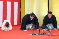 Sumo wrestler Onosato (center) speaks at a yokozuna promotion ceremony in Ami, Ibaraki Prefecture, on Wednesday.
