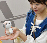 The conversational AI robot 